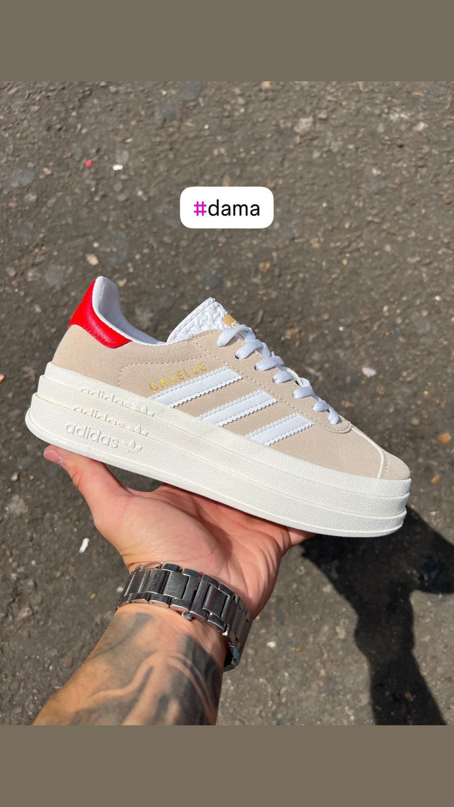 Gazelle Bold