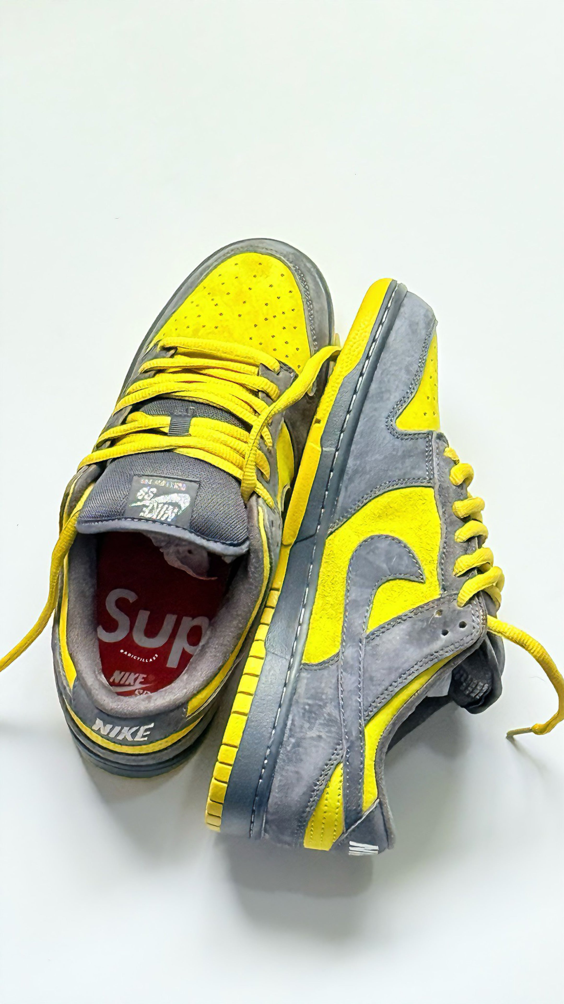 Nike SB Dunk Low x Supreme  “ Camper Green” 2025