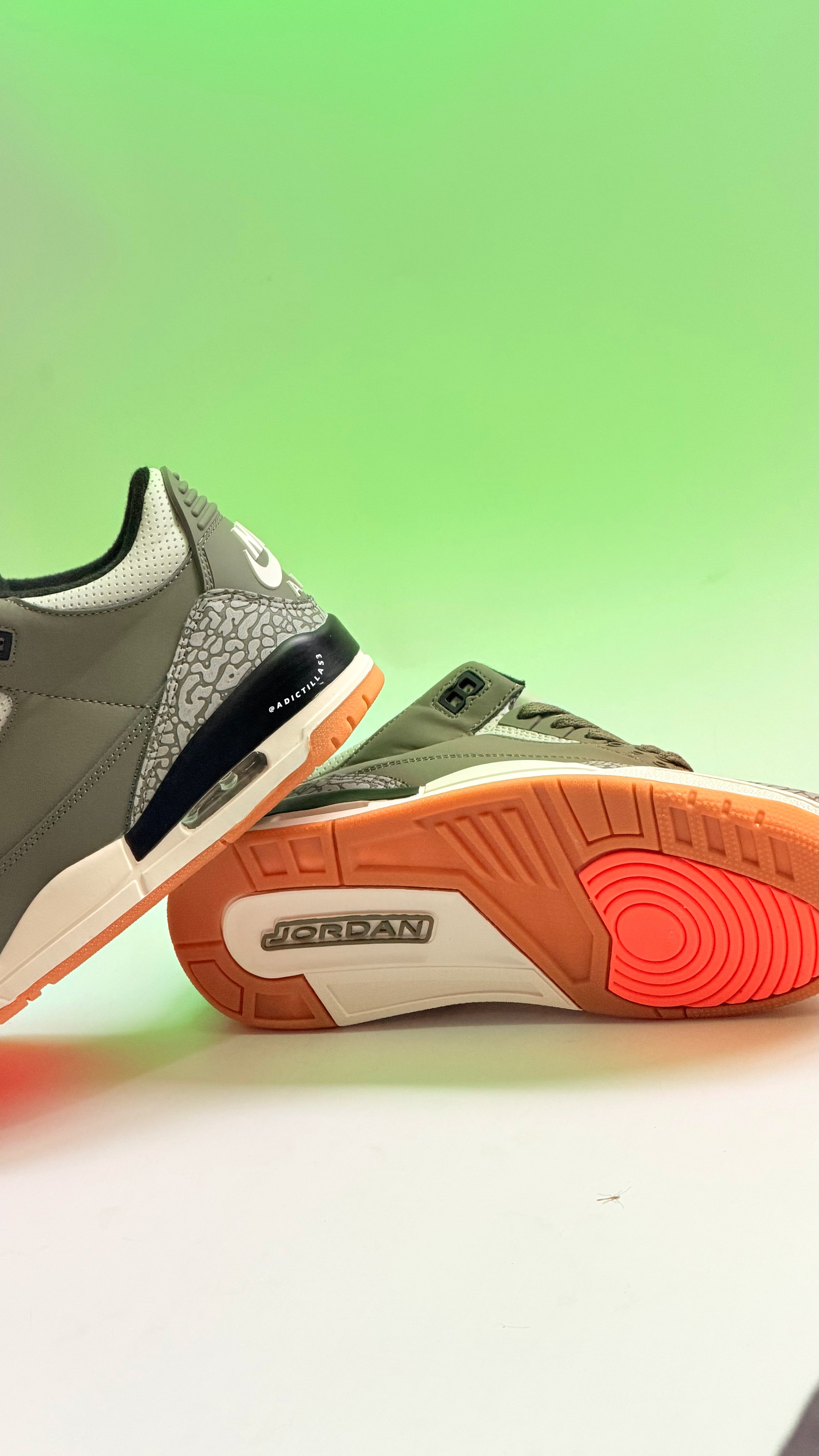 Air Jordan 3 Family Affairs