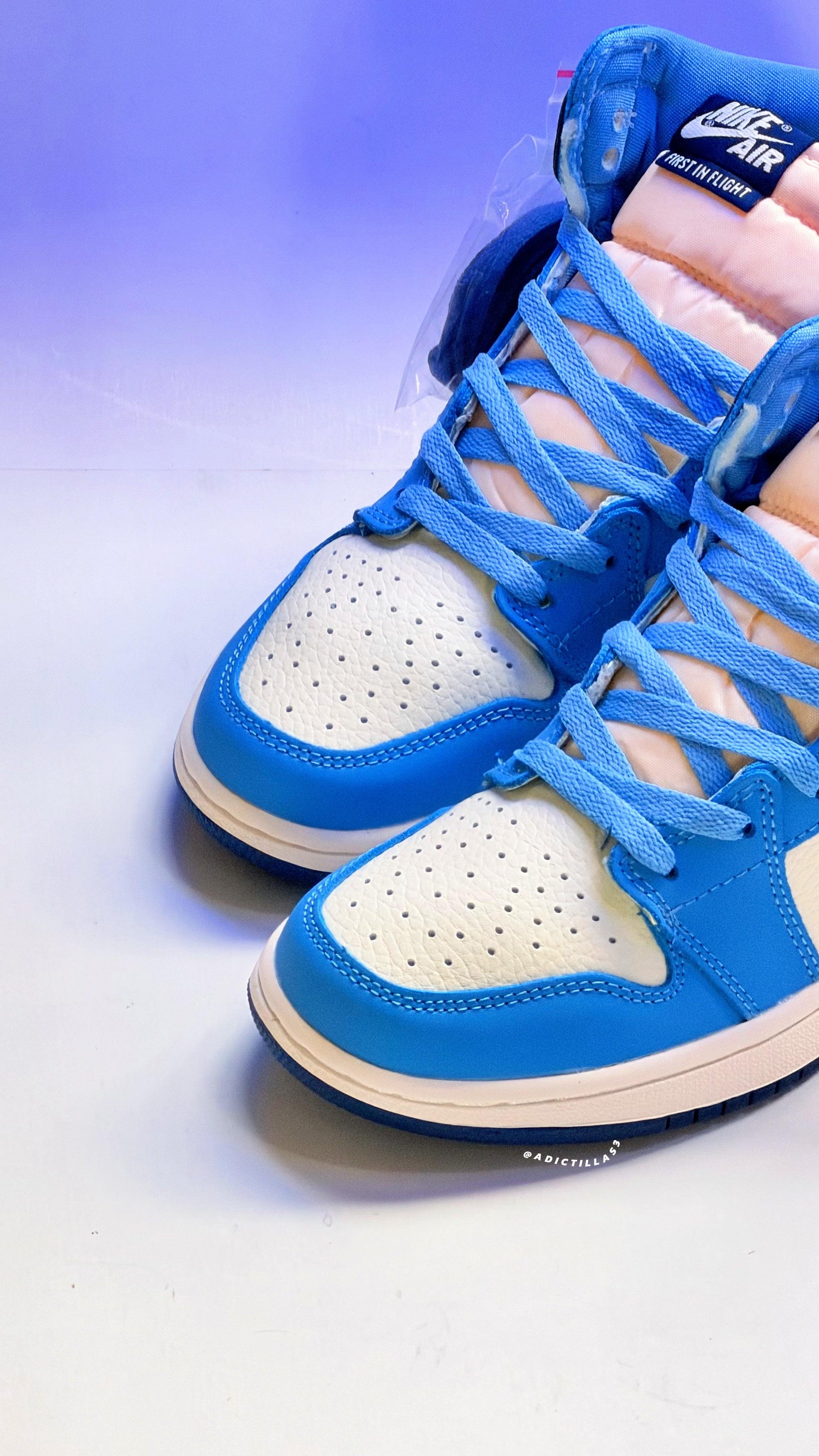 Air Jordan 1
First in Flight