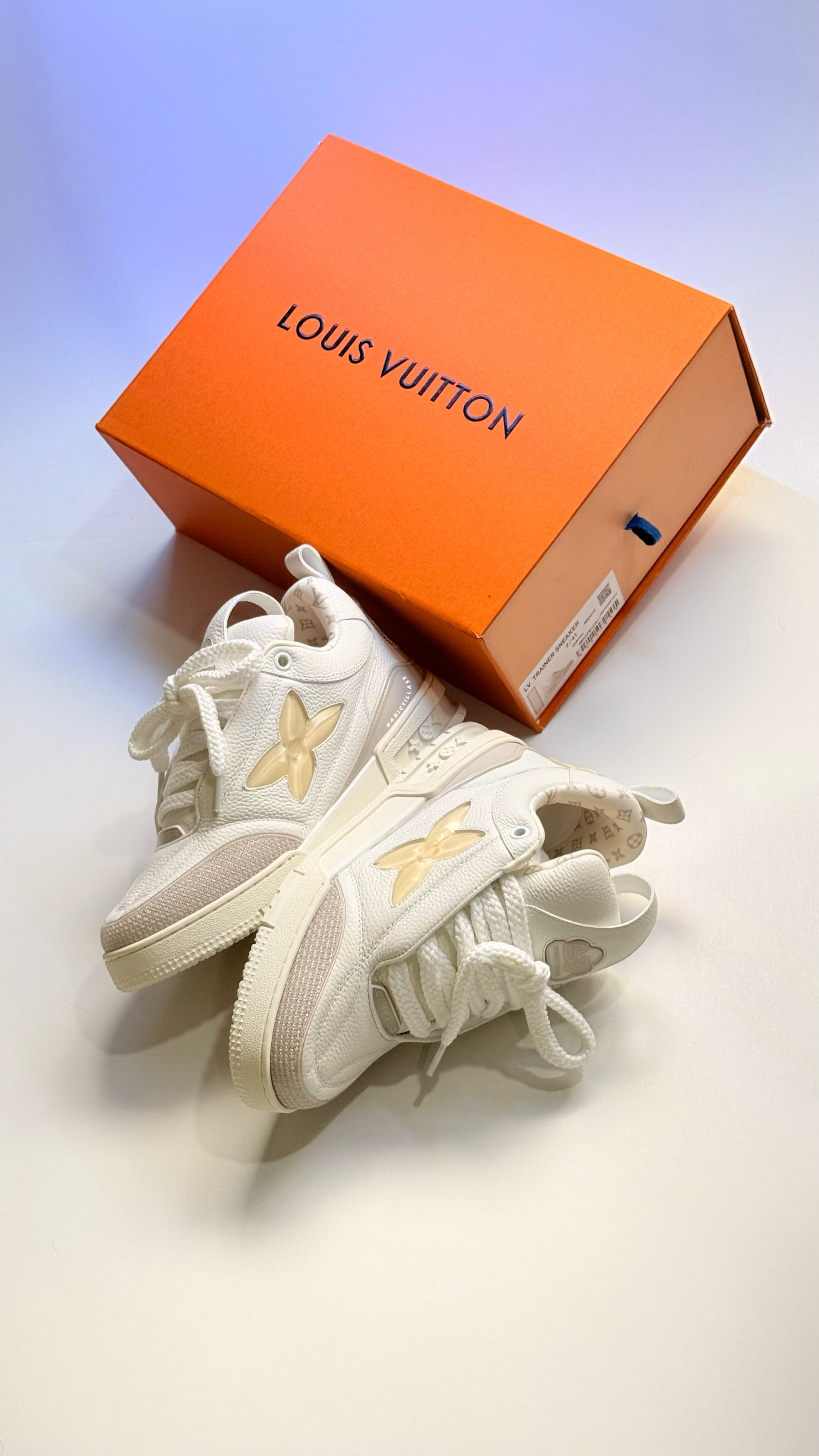 Louis Vuitton LV Skate Sneakers