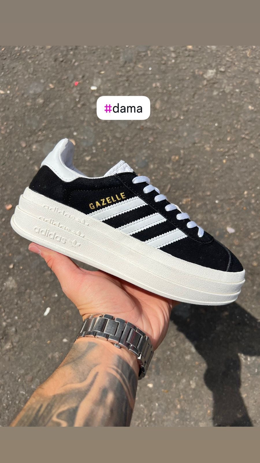 Gazelle Bold