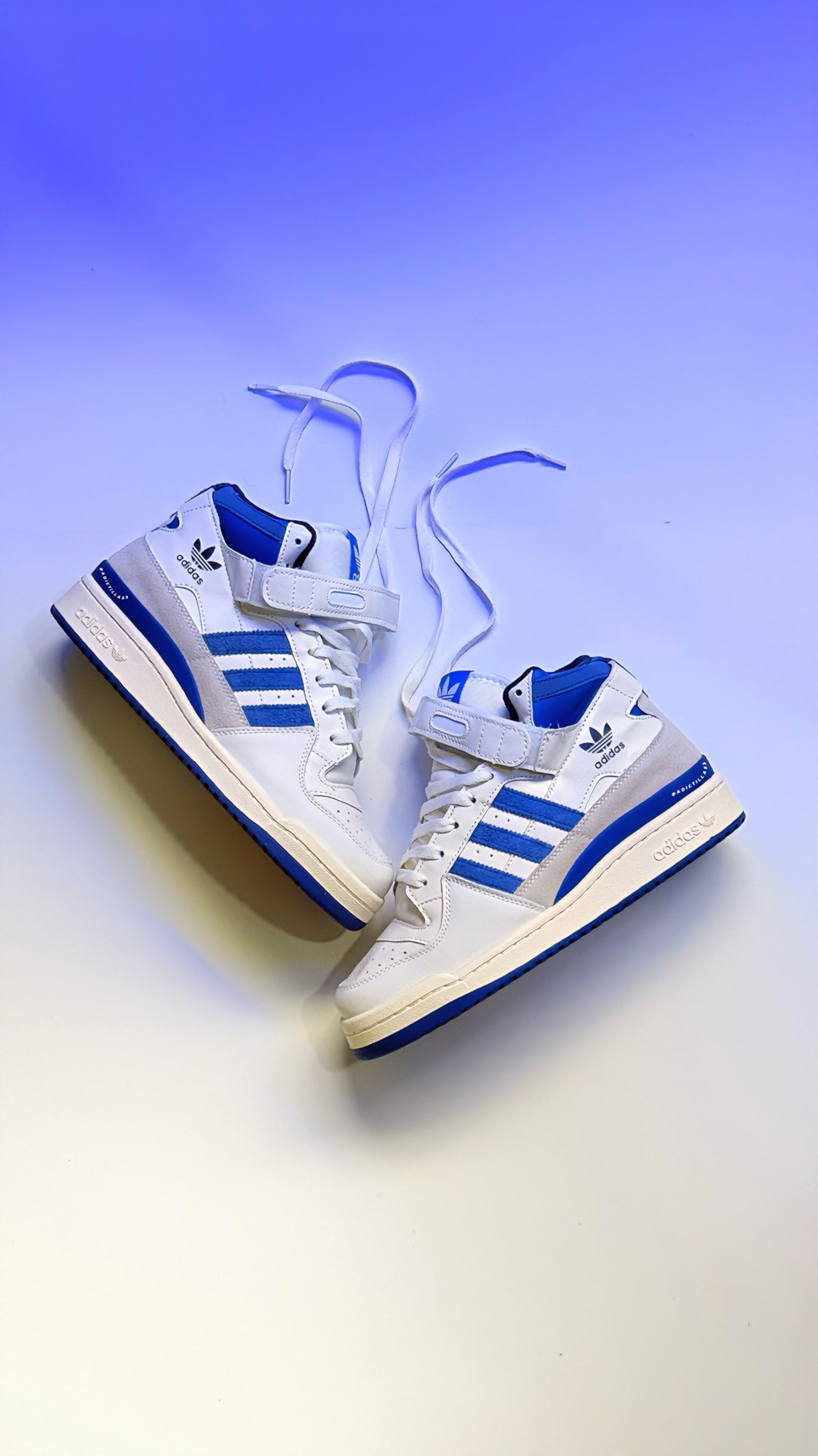 Adidas Forum High 84