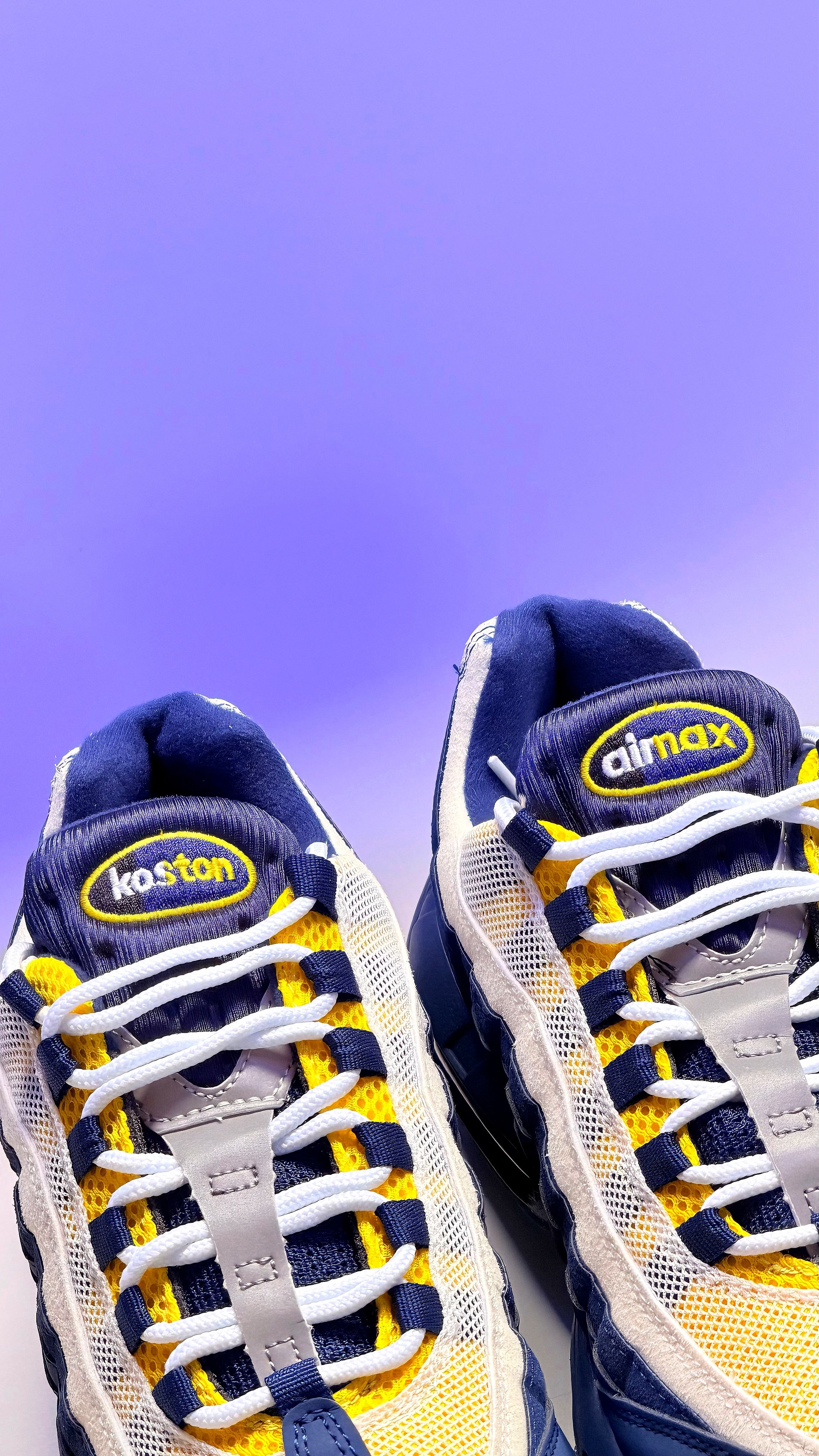 Nike Air Max 95 SB
Eric Koston Obsidian Speed Yellow