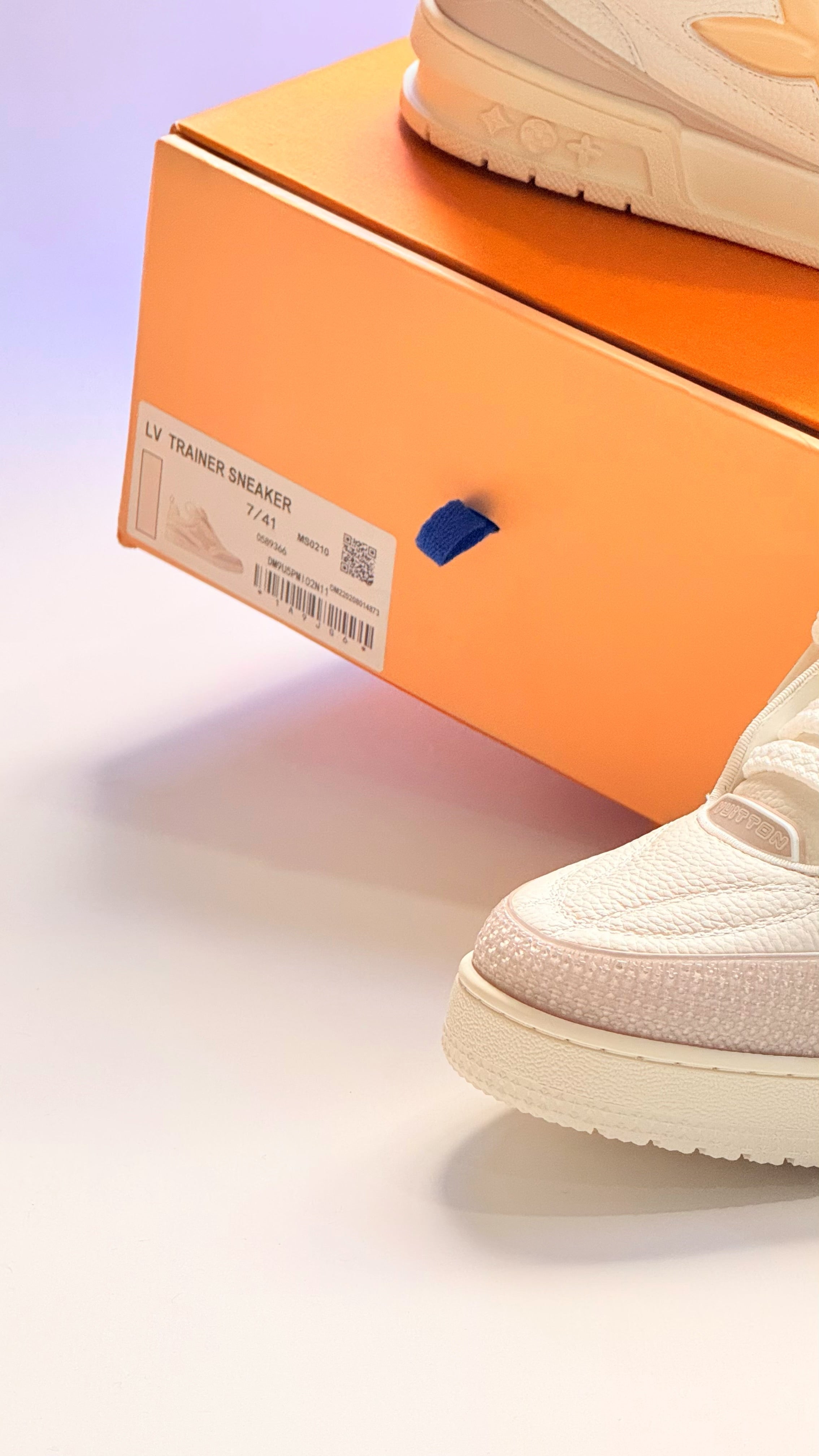 Louis Vuitton LV Skate Sneakers