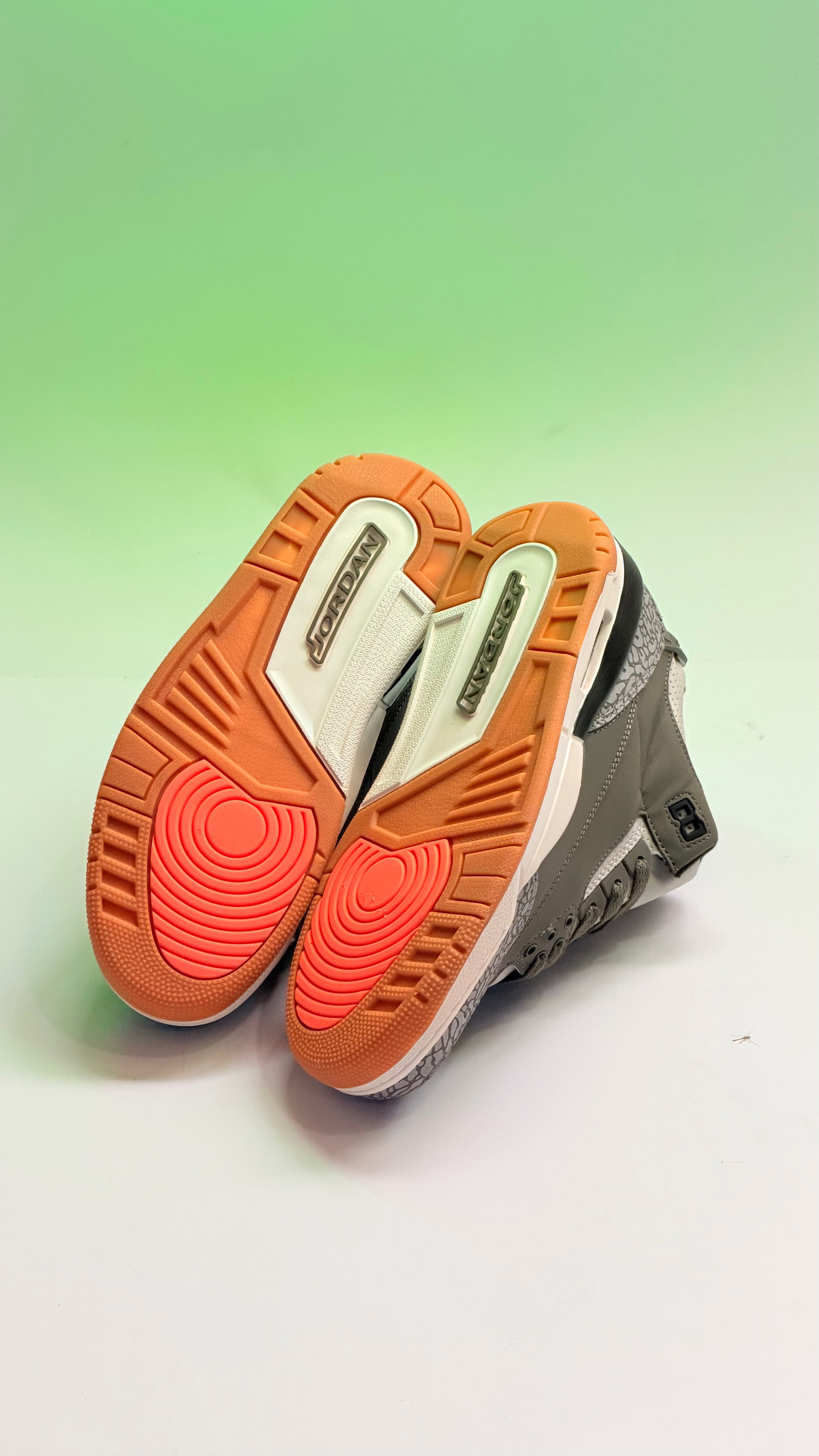 Air Jordan 3 Family Affairs
