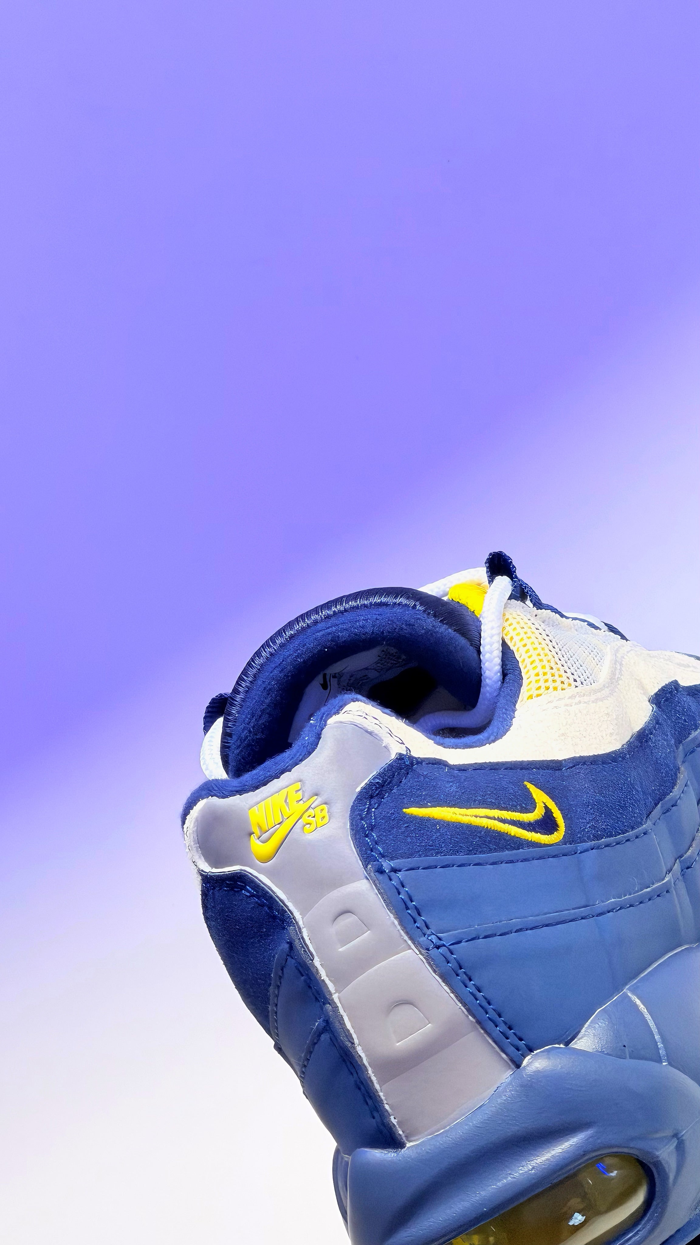 Nike Air Max 95 SB
Eric Koston Obsidian Speed Yellow