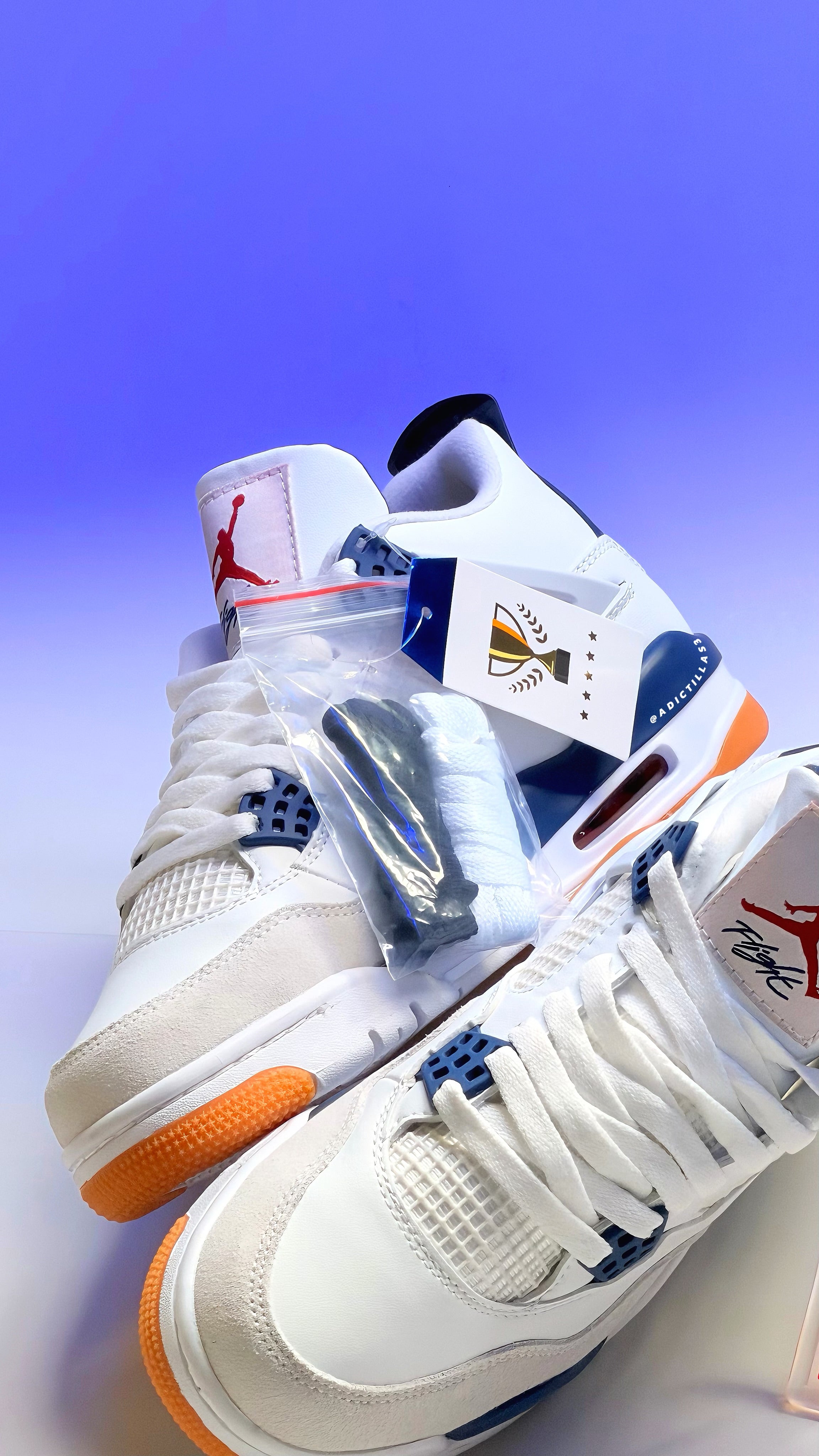 Nike SB x Air Jordan 4