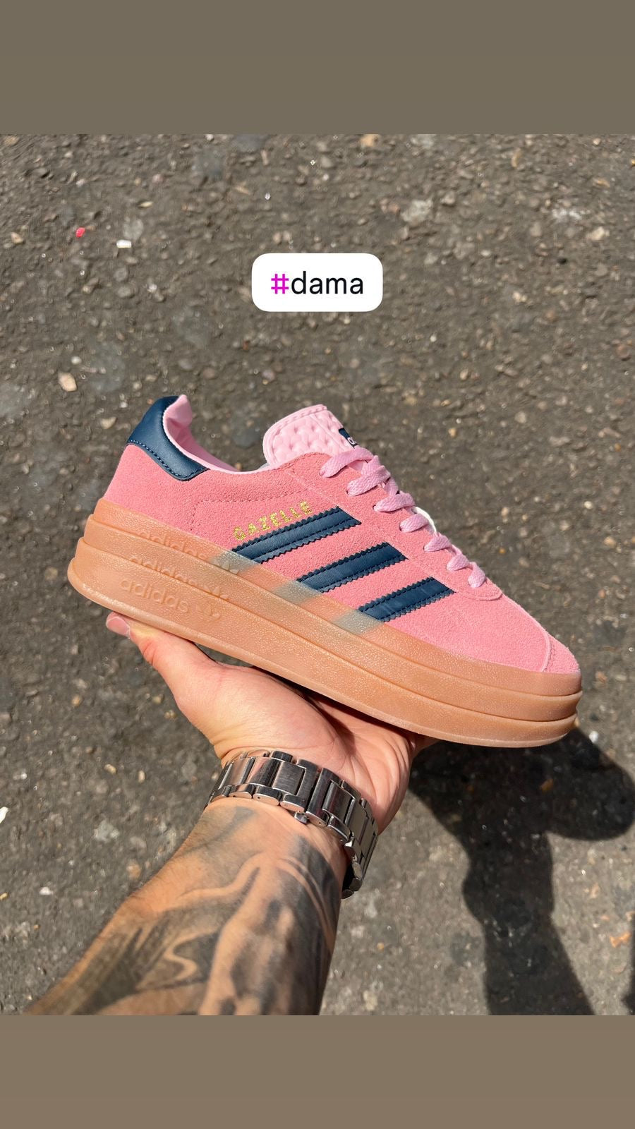 Gazelle Bold