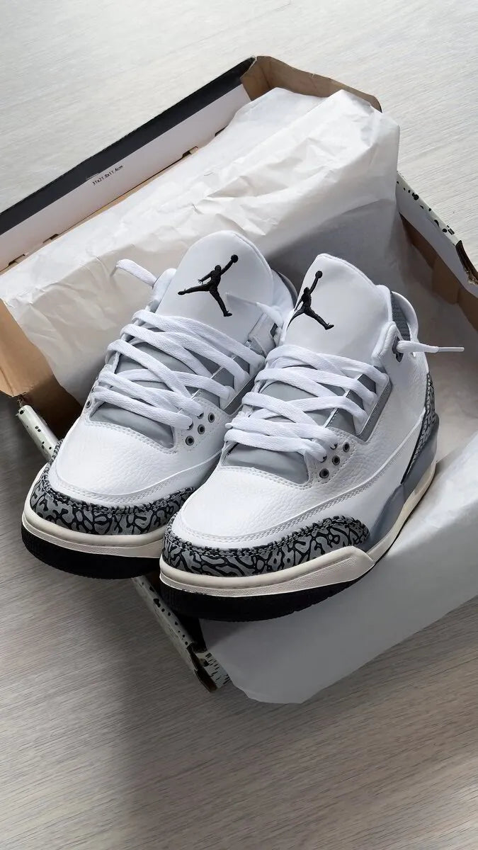 Air Jordan 3 “Hide N Sneak"