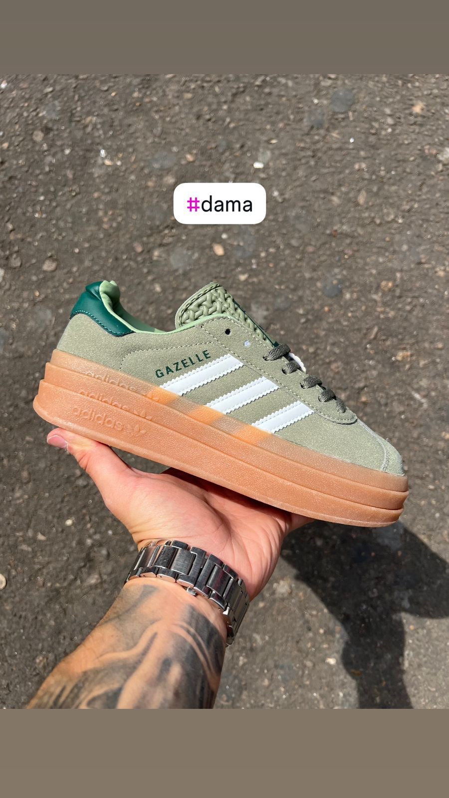 Gazelle Bold