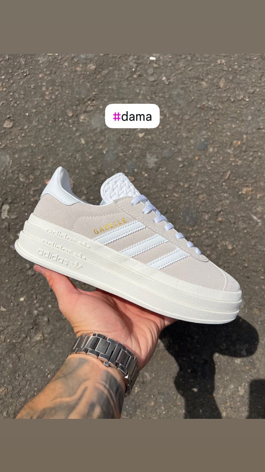 Gazelle Bold