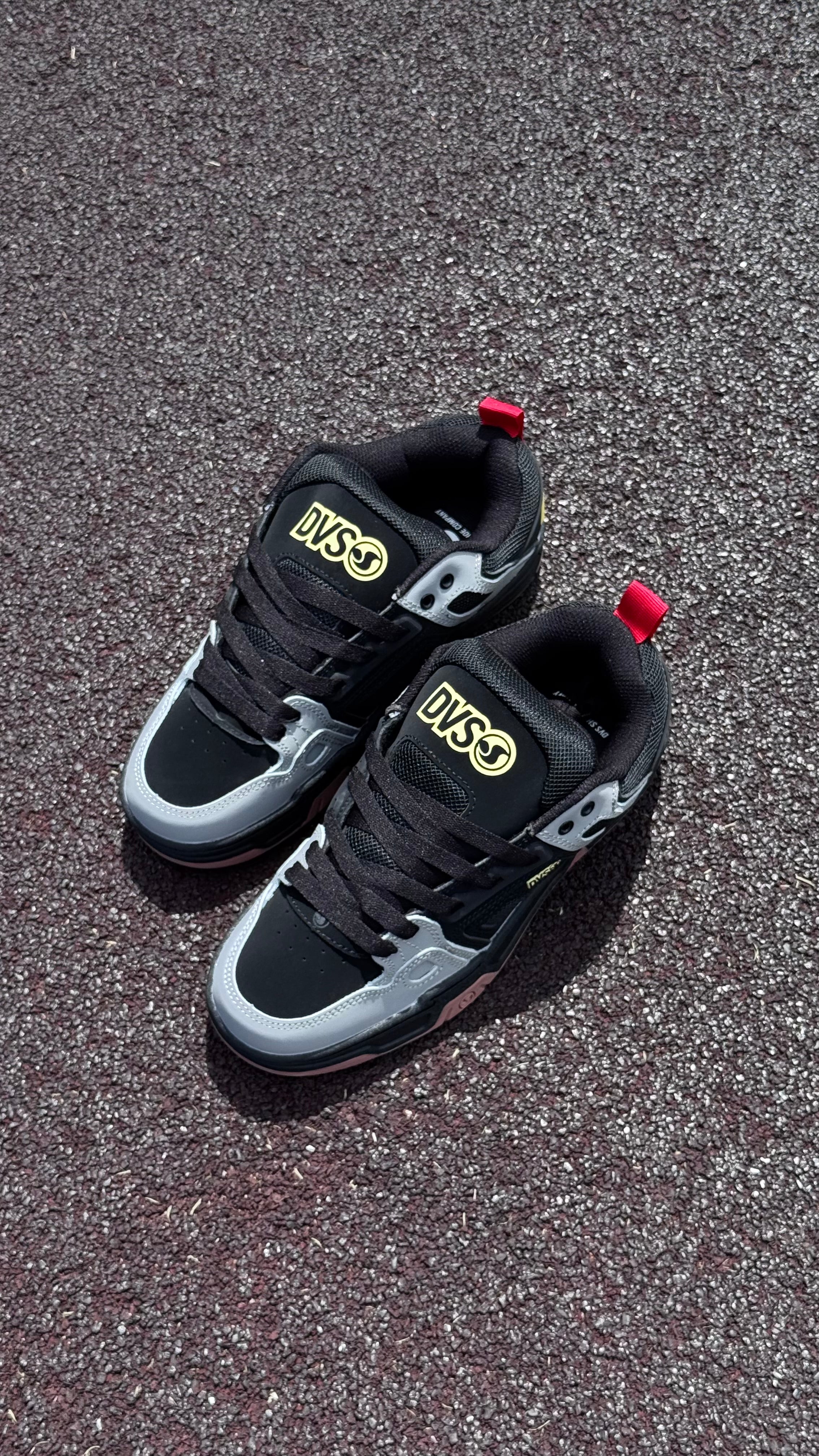 DVS