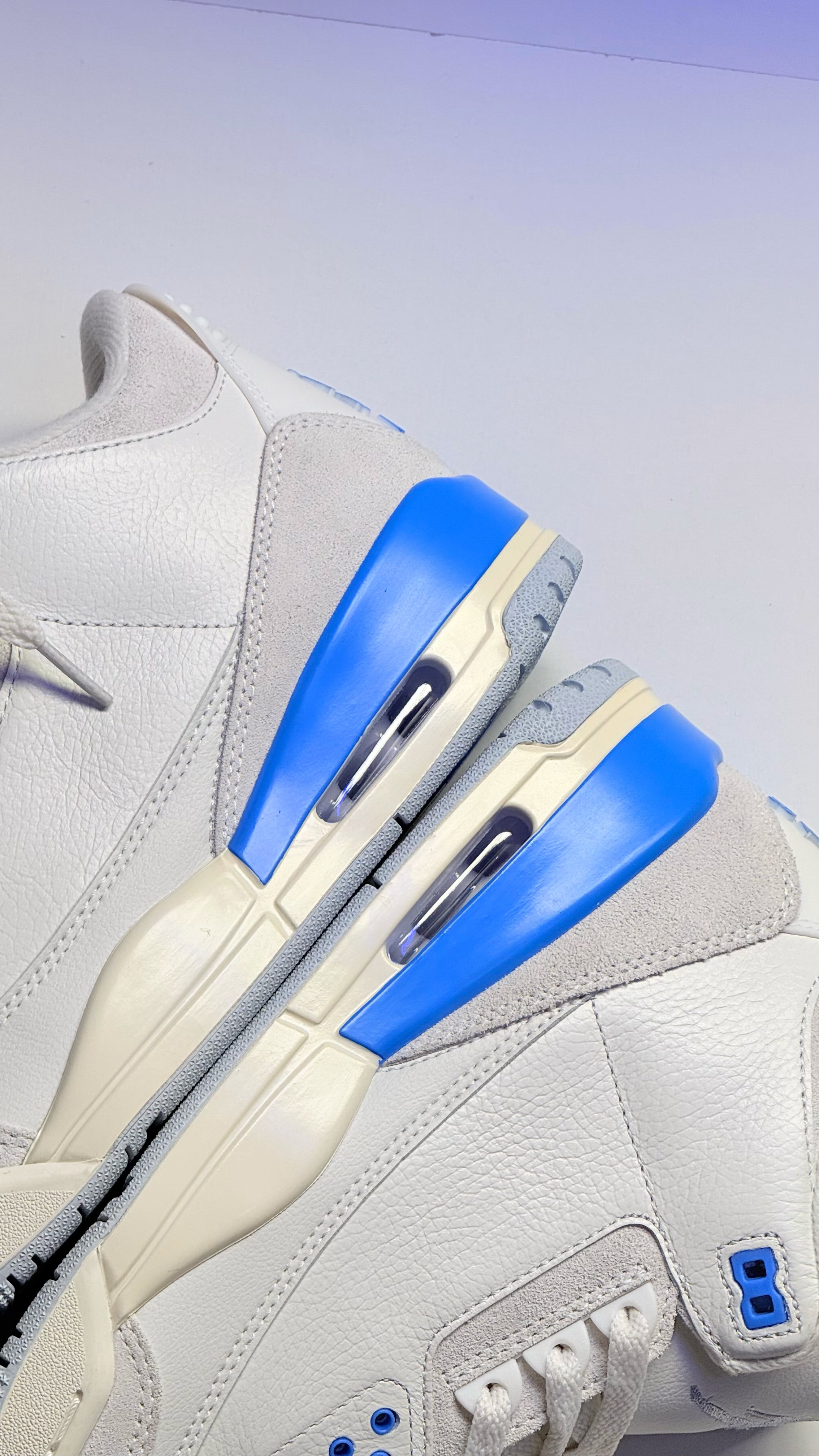 Air Jordan 3 "Lucky Shorts"