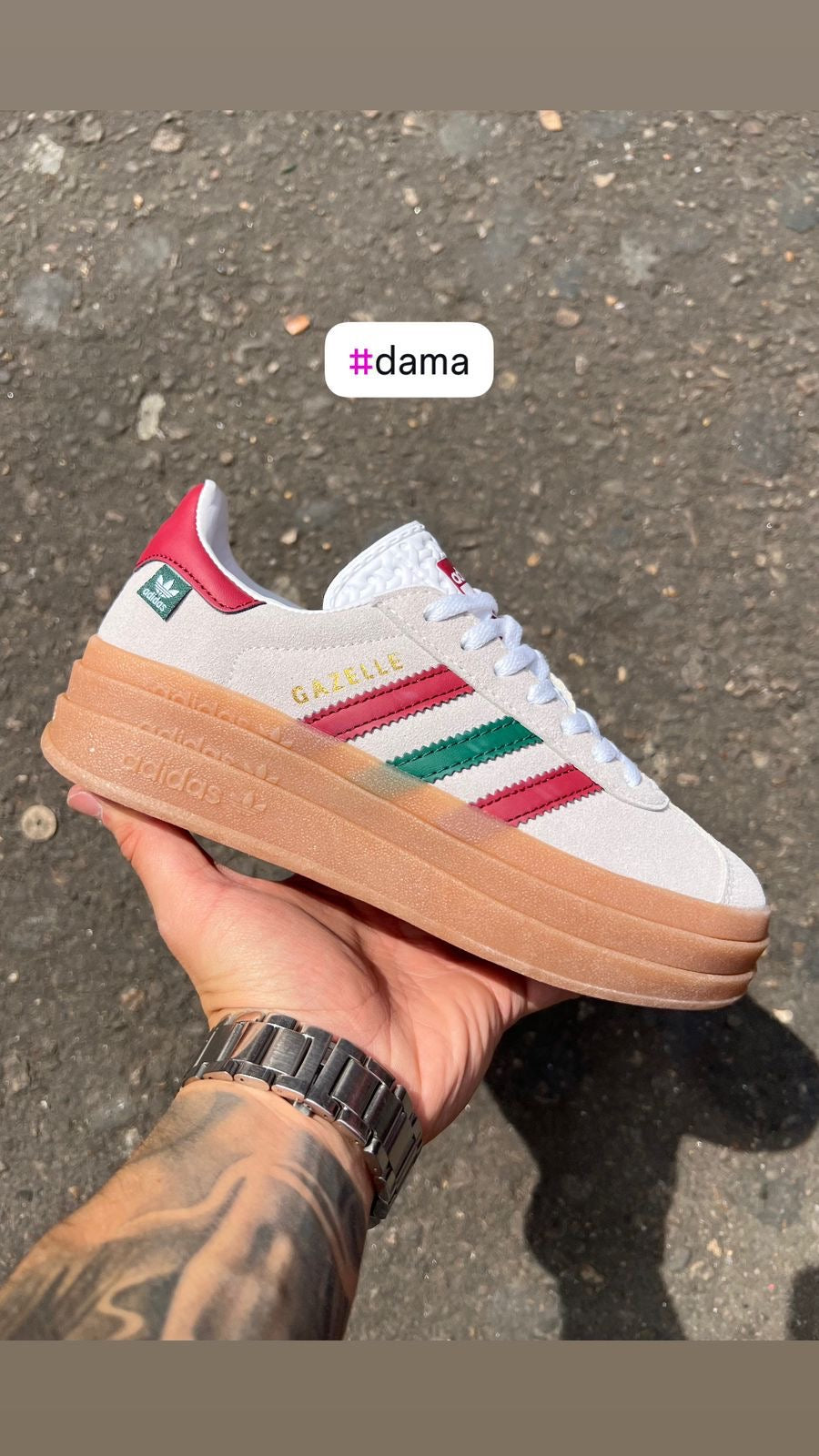 Gazelle Bold