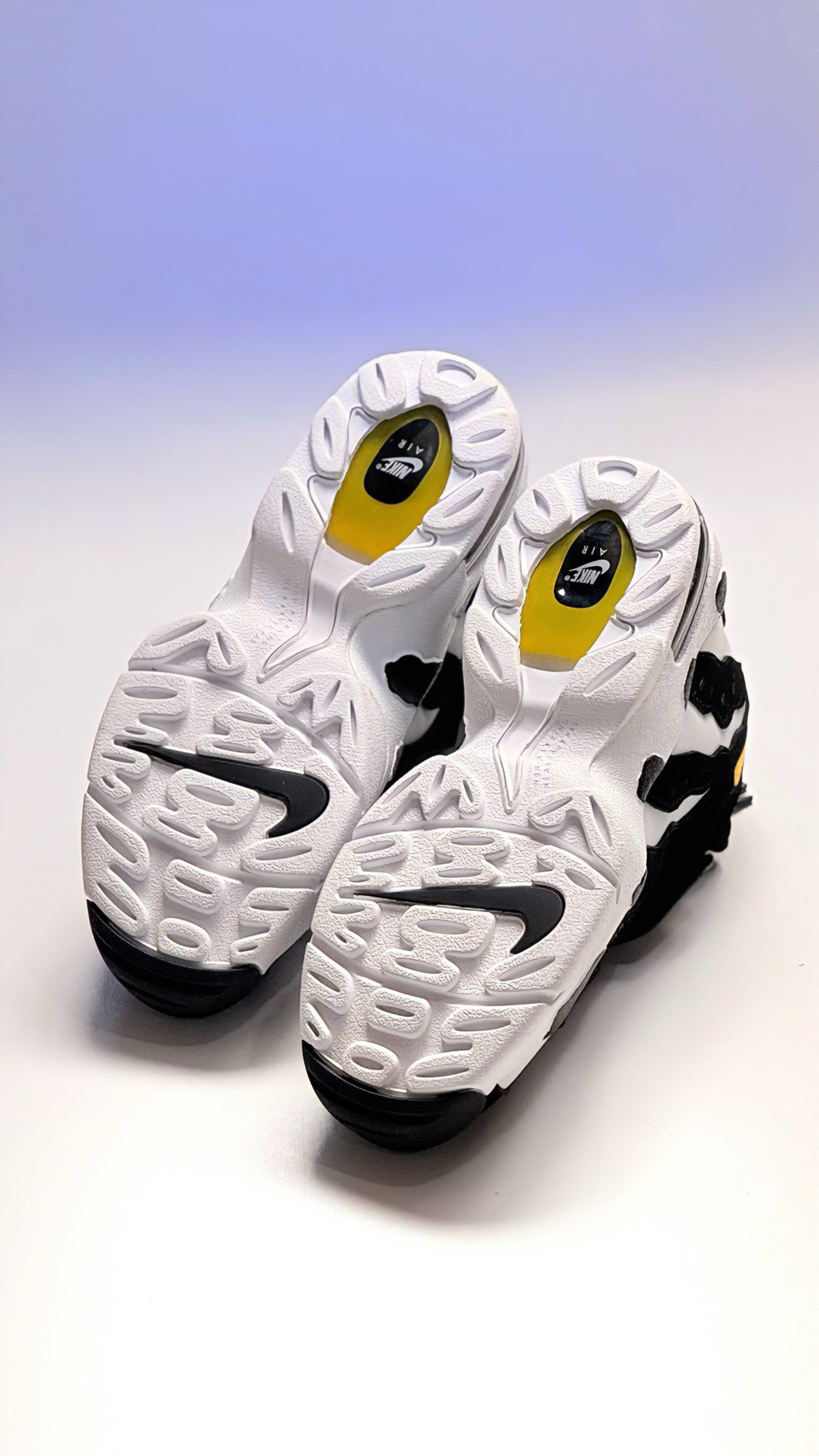 Nike Air DT Max 96
