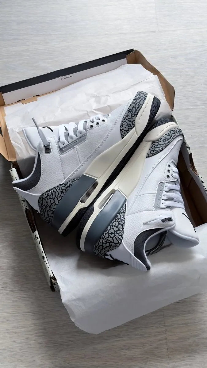 Air Jordan 3 “Hide N Sneak"