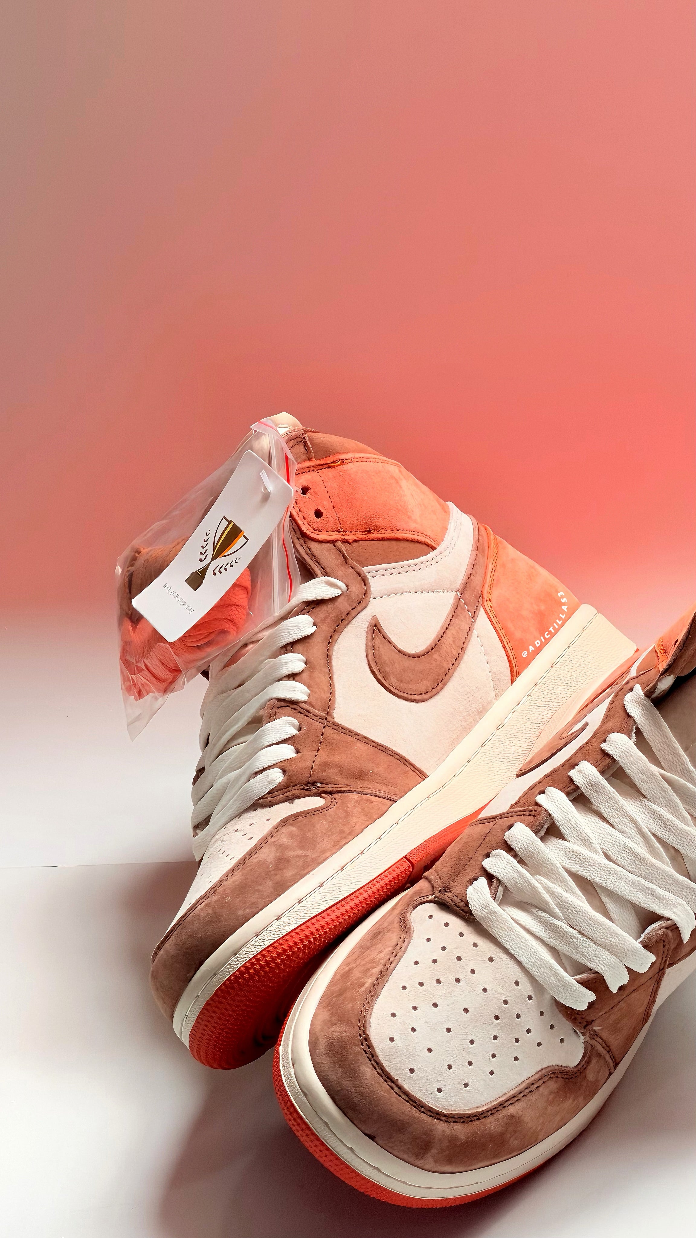 JORDAN 1     "DUSTED CLAY"