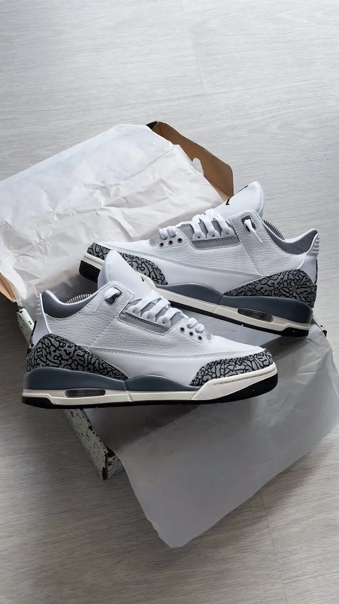 Air Jordan 3 “Hide N Sneak"