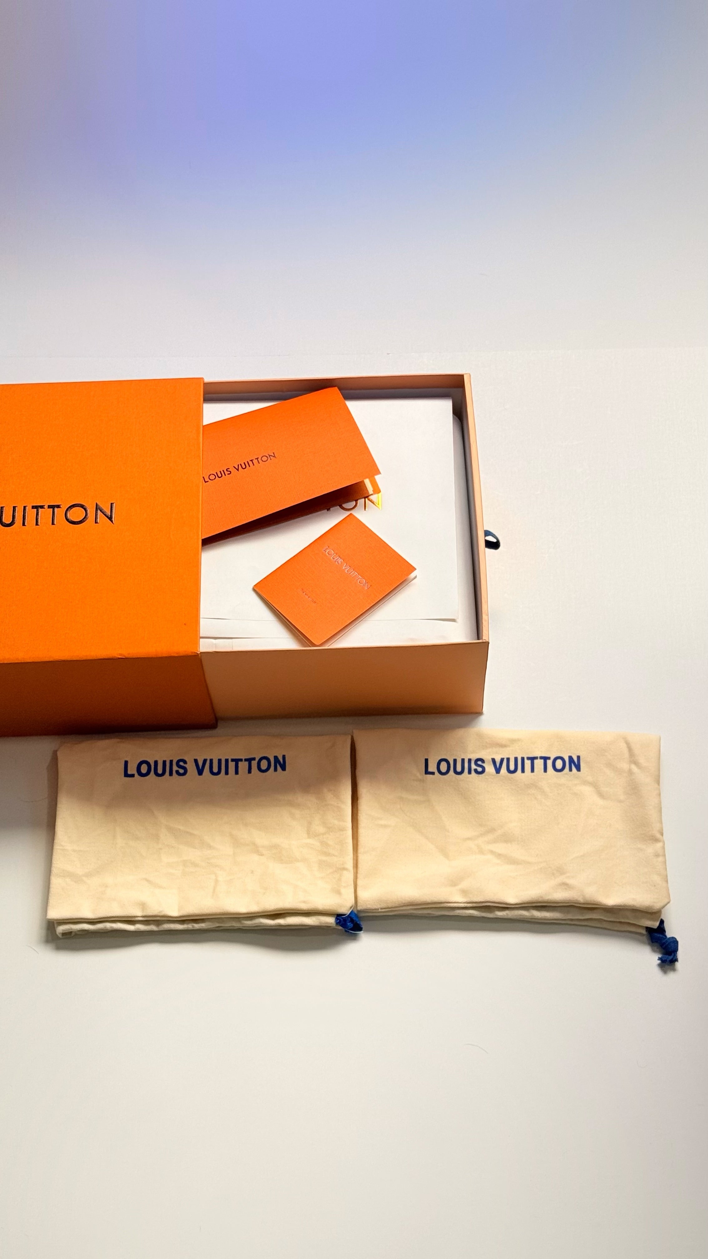 Louis Vuitton LV Skate Sneakers