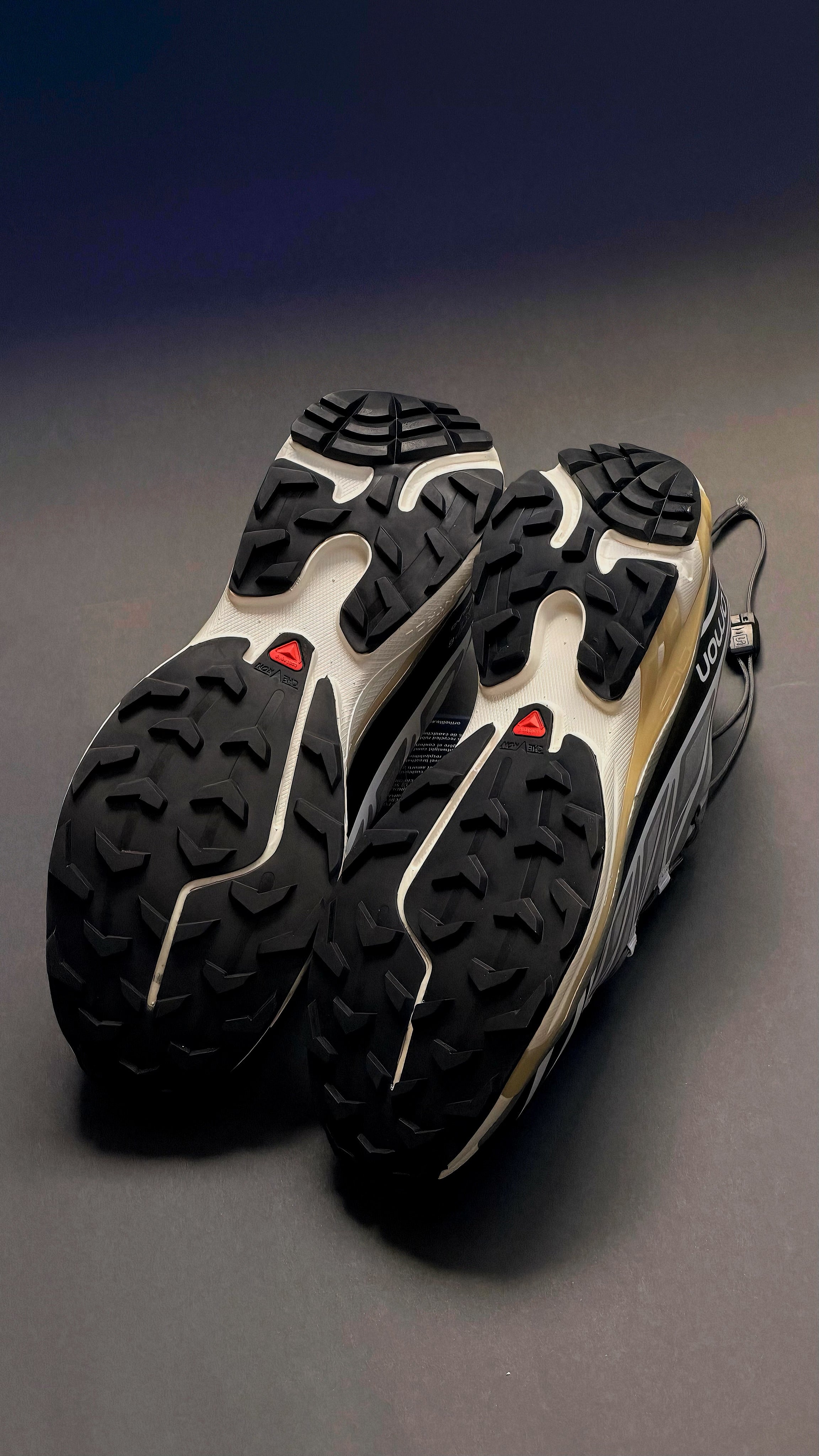 Salomón XT-6