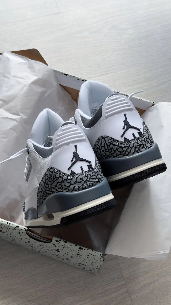 Air Jordan 3 “Hide N Sneak"