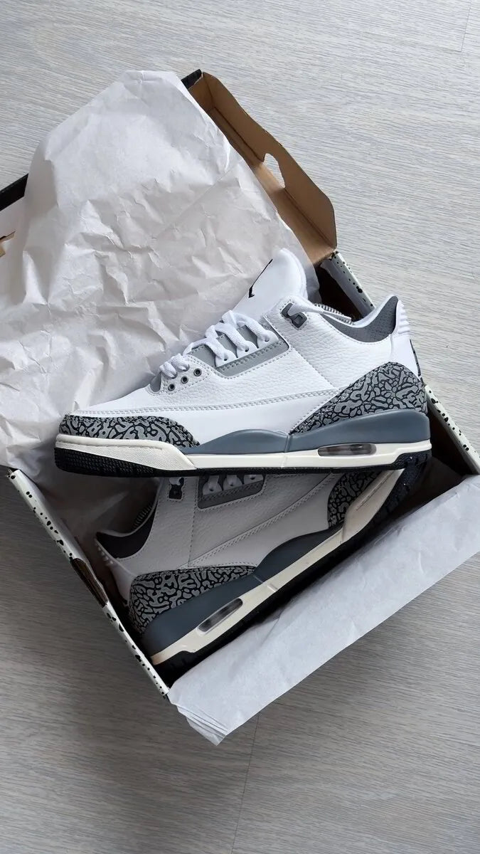 Air Jordan 3 “Hide N Sneak"