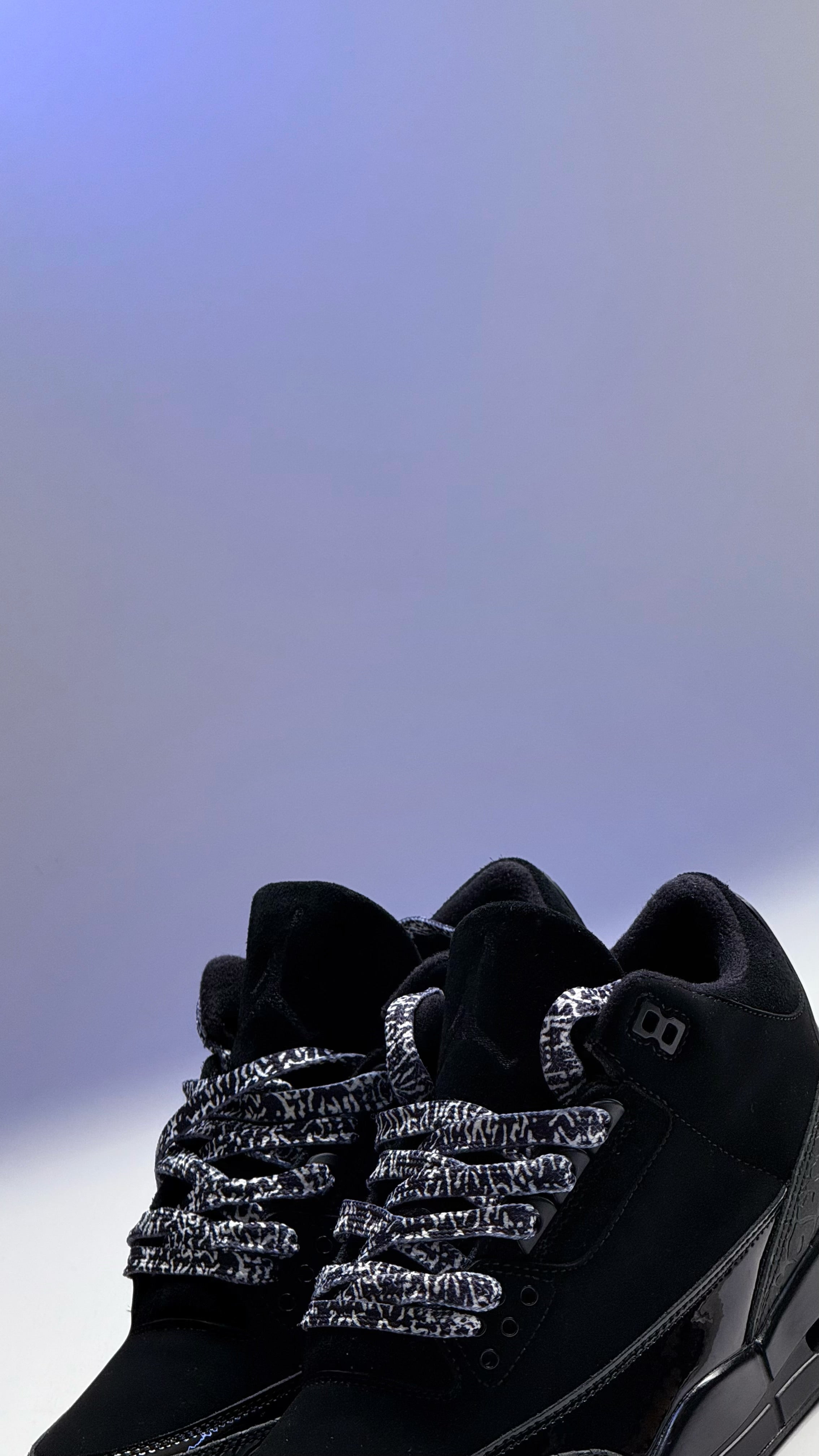 Air Jordan 3 Black Cat
