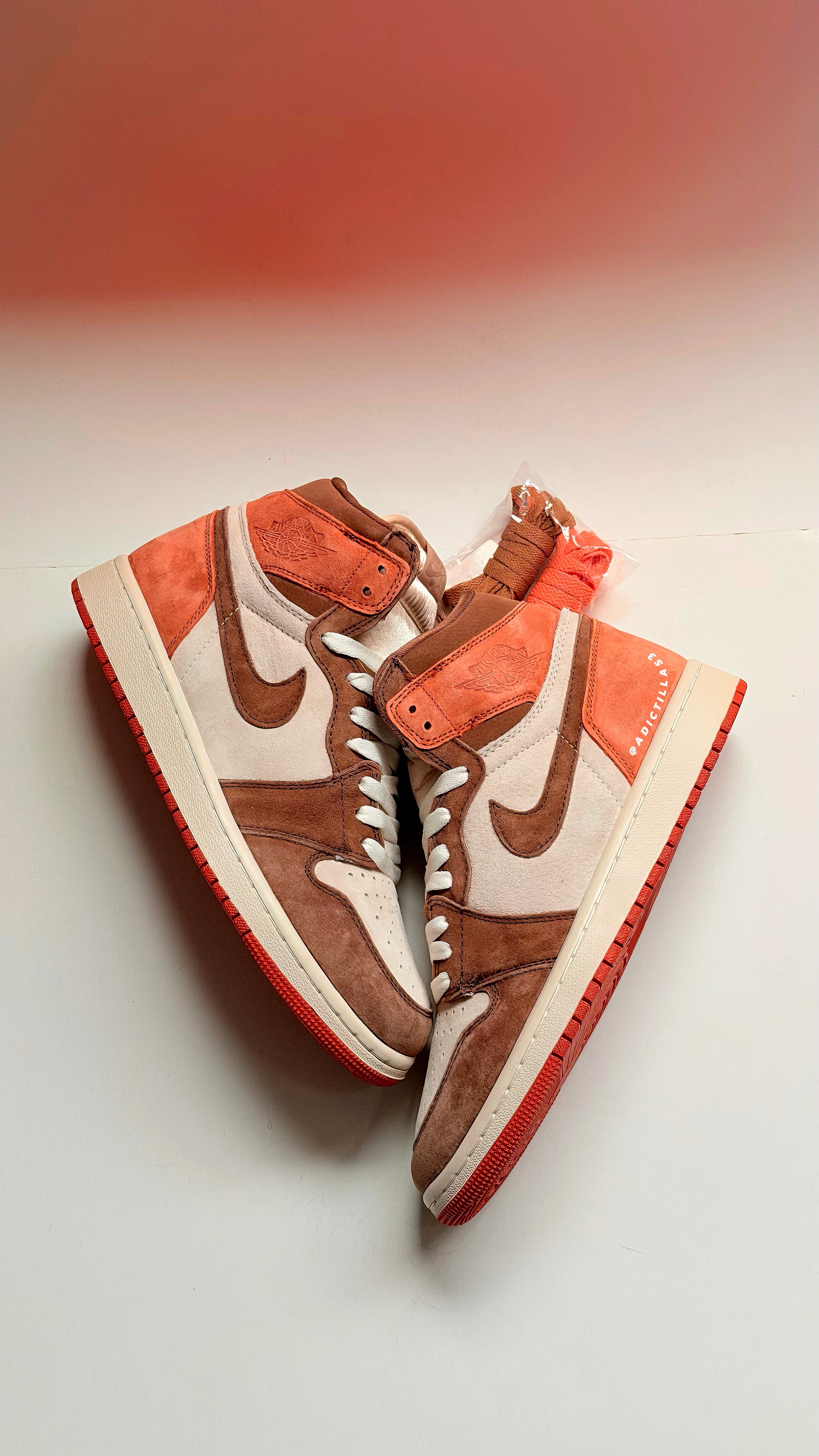 JORDAN 1     "DUSTED CLAY"