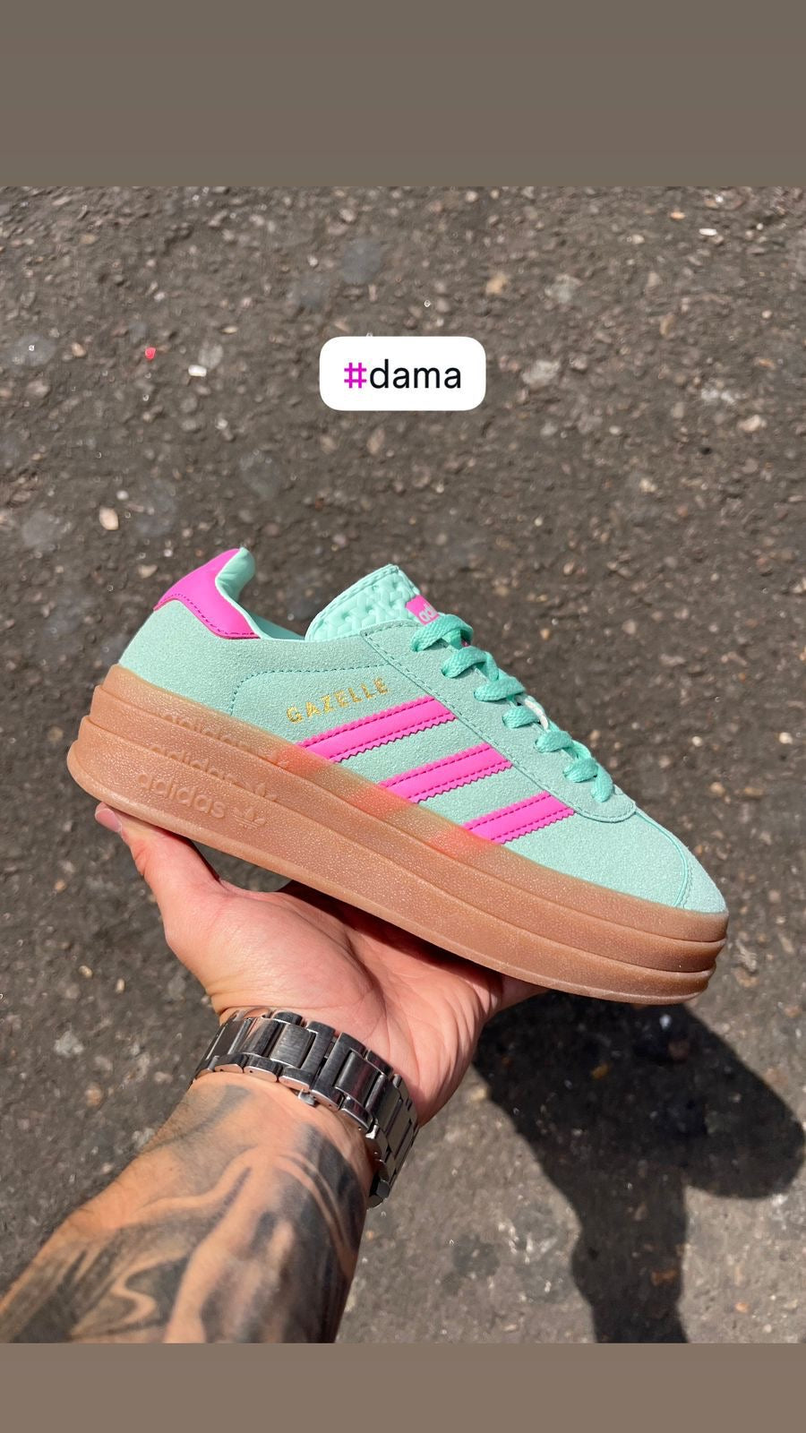 Gazelle Bold
