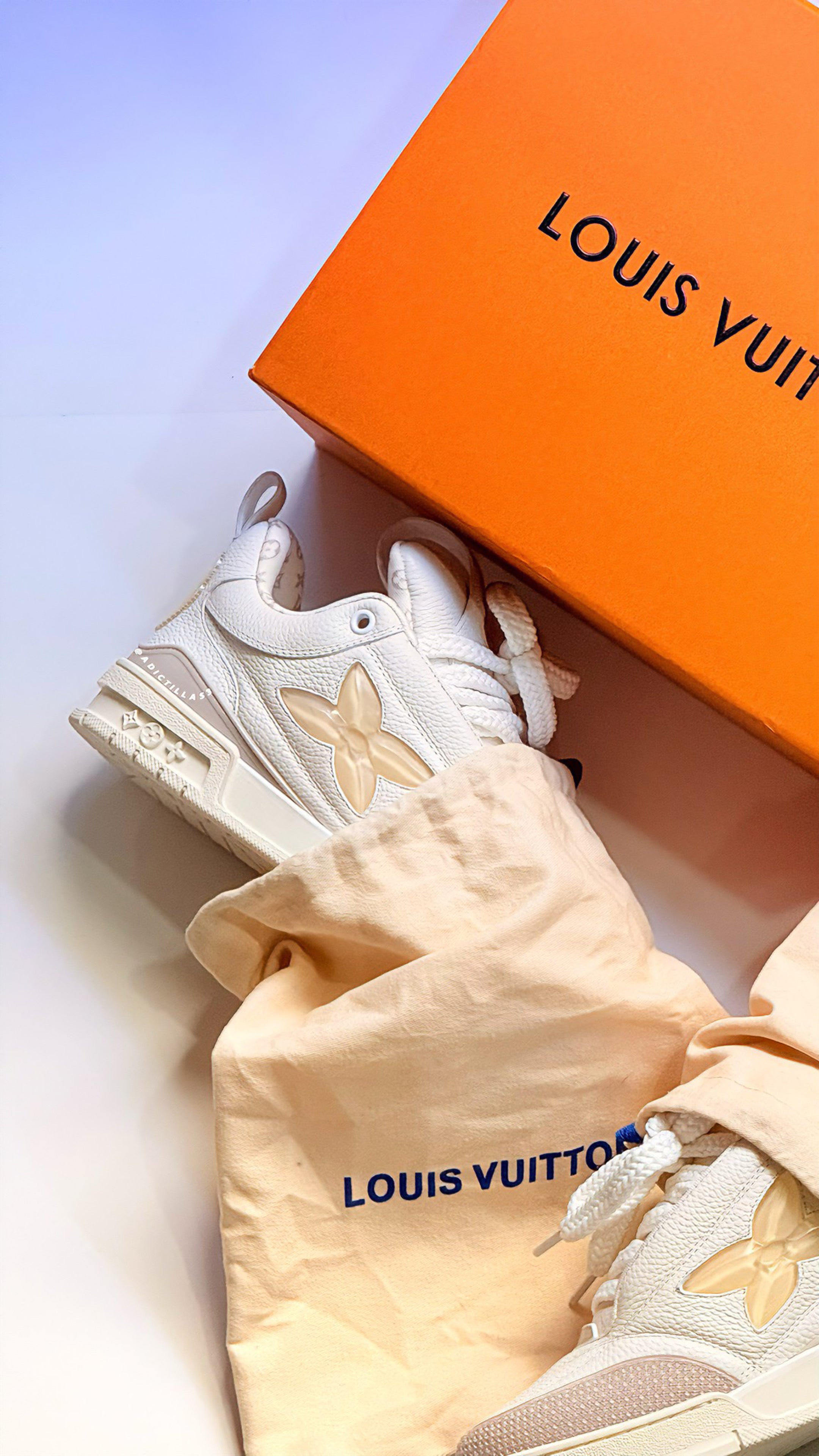Louis Vuitton LV Skate Sneakers
