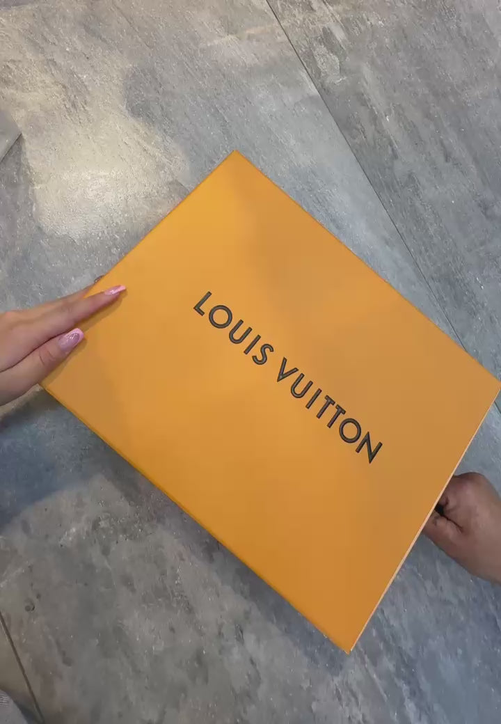 Louis Vuitton LV Skate