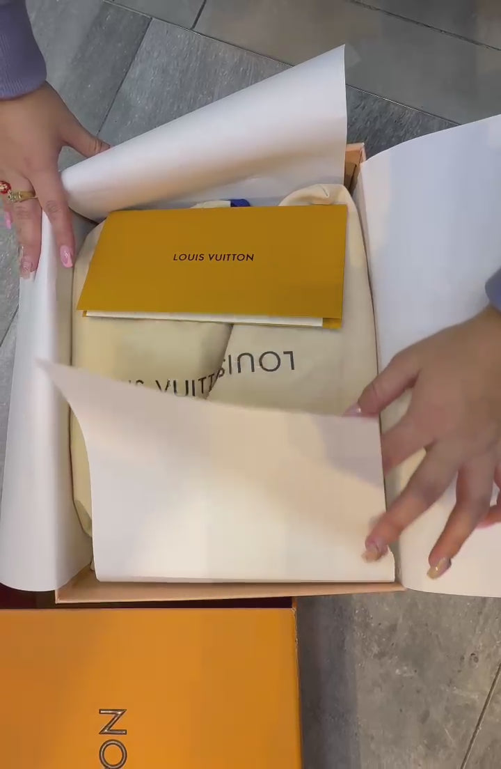 Louis Vuitton LV Skate