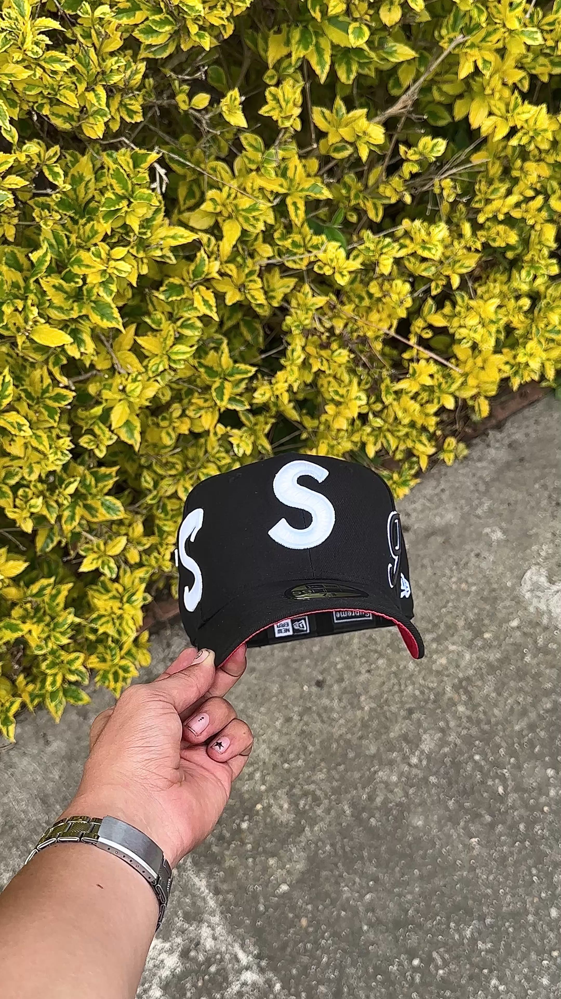 Supreme multi S Logo
